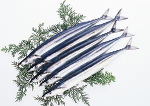 2025年最新版：立川で絶品ラーメンを楽しむための完全ガイド