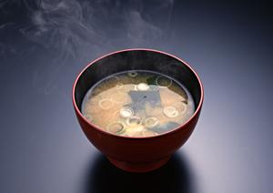 家族と楽しむ！季節感あふれる和菓子お土産特集とおすすめショップガイド