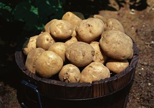 恵比寿の注目バーガイド2026：絶品カクテルと隠れ家的雰囲気を徹底解説