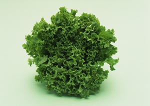 東京の高級宅配弁当完全ガイド2025：贅沢な味とサービスを楽しむ最旬セレクション