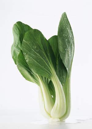 梅田阪神 – シェイクシャック Shake Shackの魅力