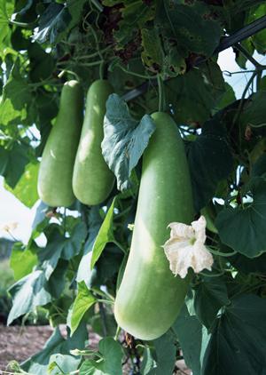 【2026年最新版】日本橋で絶品イタリアンを楽しむ！口コミ・料金・予約方法まで徹底ガイド